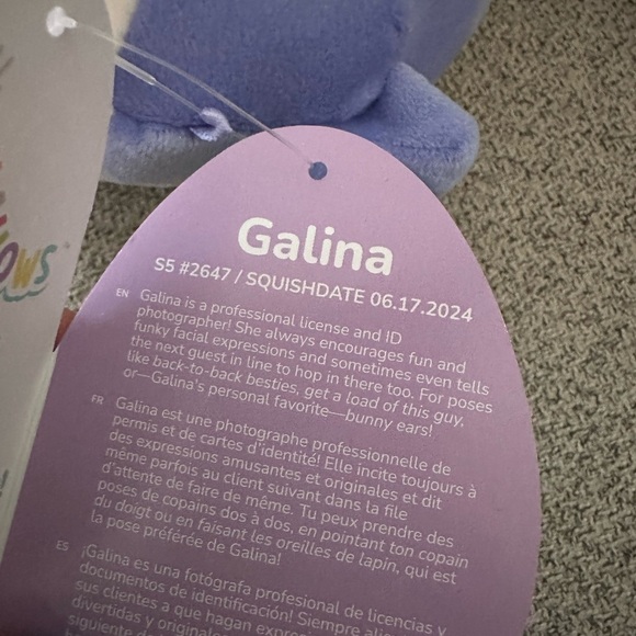 Nwt 5" Galina The Cream and Periwinkle Bulldog Squishmallow Easter - Picture 6 of 6
